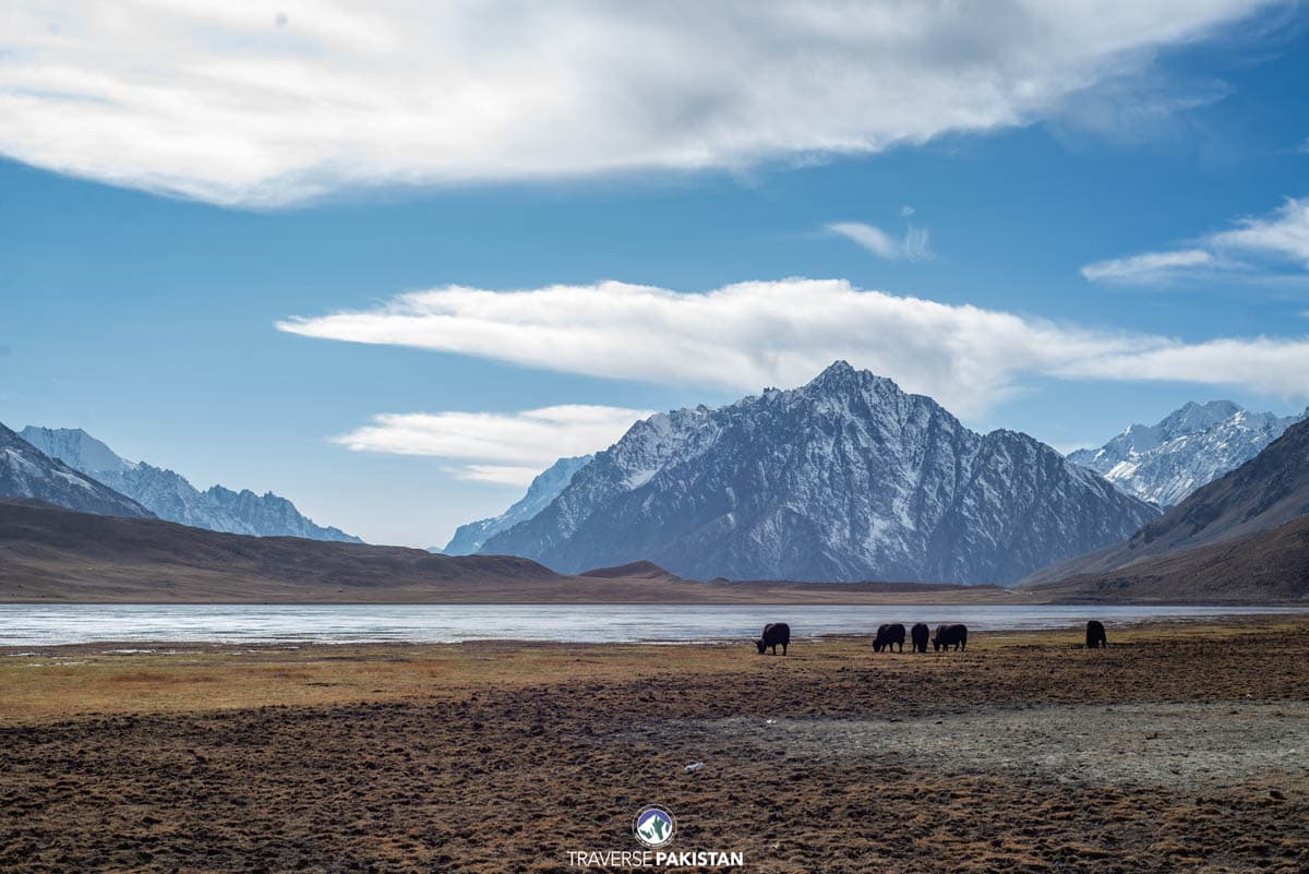 Chitral, Shandoor, Hunza & Naran — 9 Days