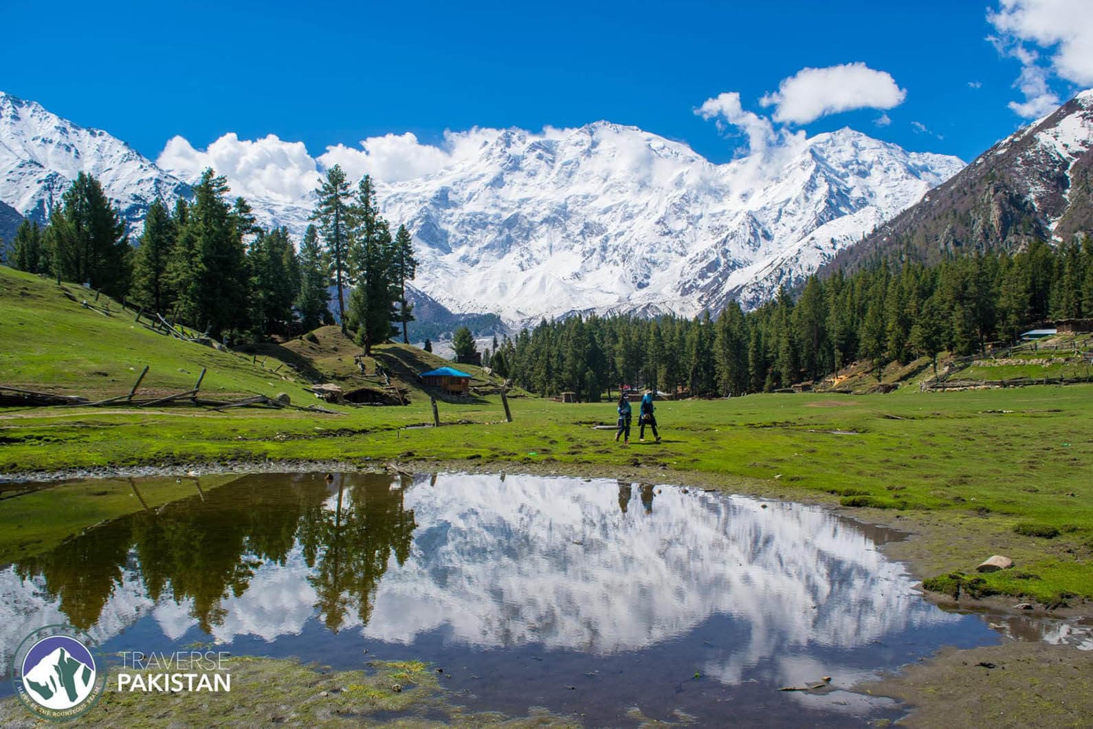 Fairy Meadows & Nanga Parbat