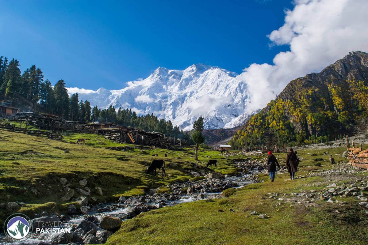 Fairy Meadows & Nanga Parbat — 5 Days via Naran & Babusar