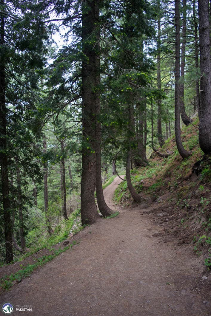Galiyat Nathiagali — 3 Days