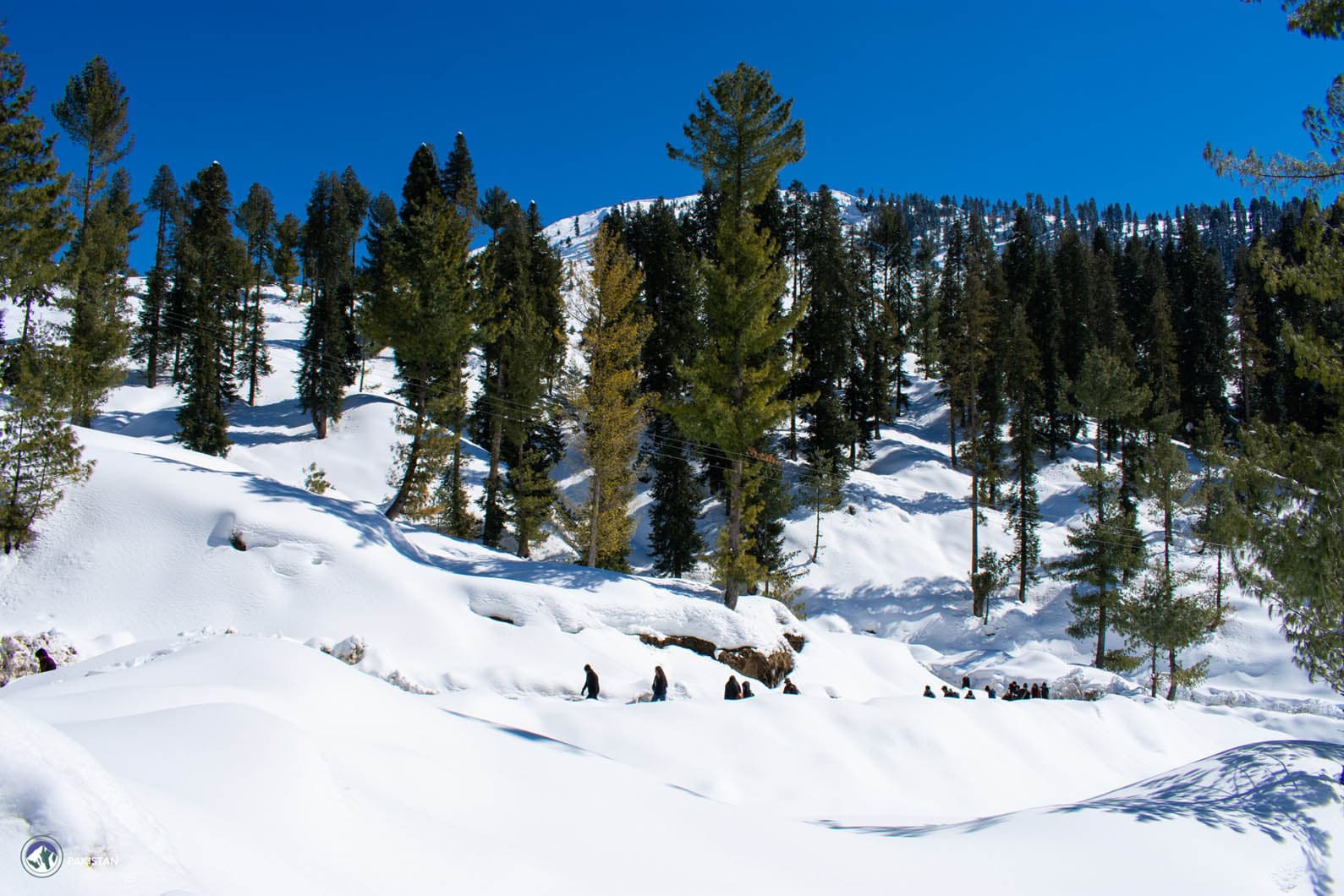 Malam Jabba — 3 Days Winter Escape