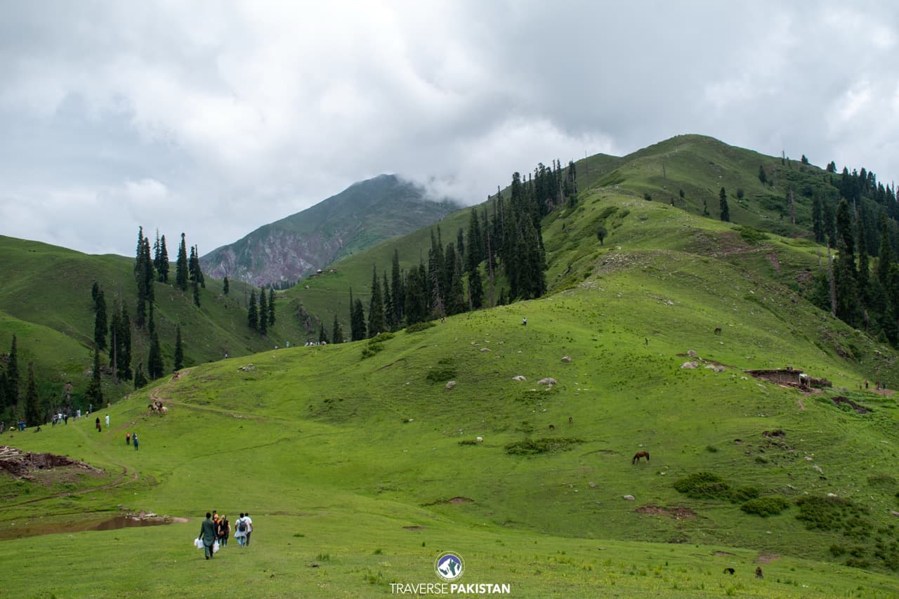 Naran, Sharan & Shogran — 6 Days