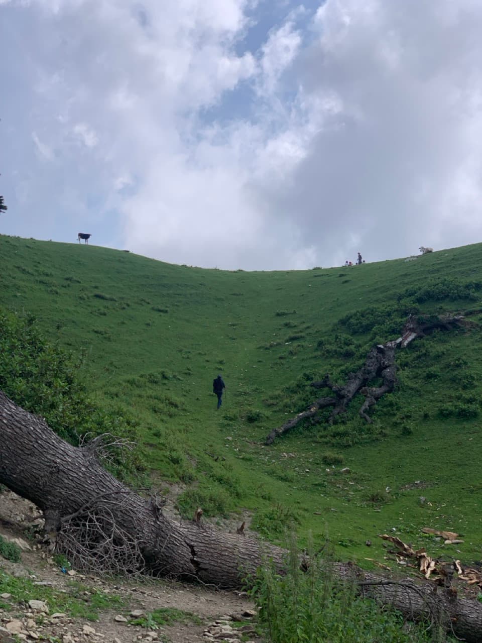 Sharan Forest & Manshi Top — 3 Days