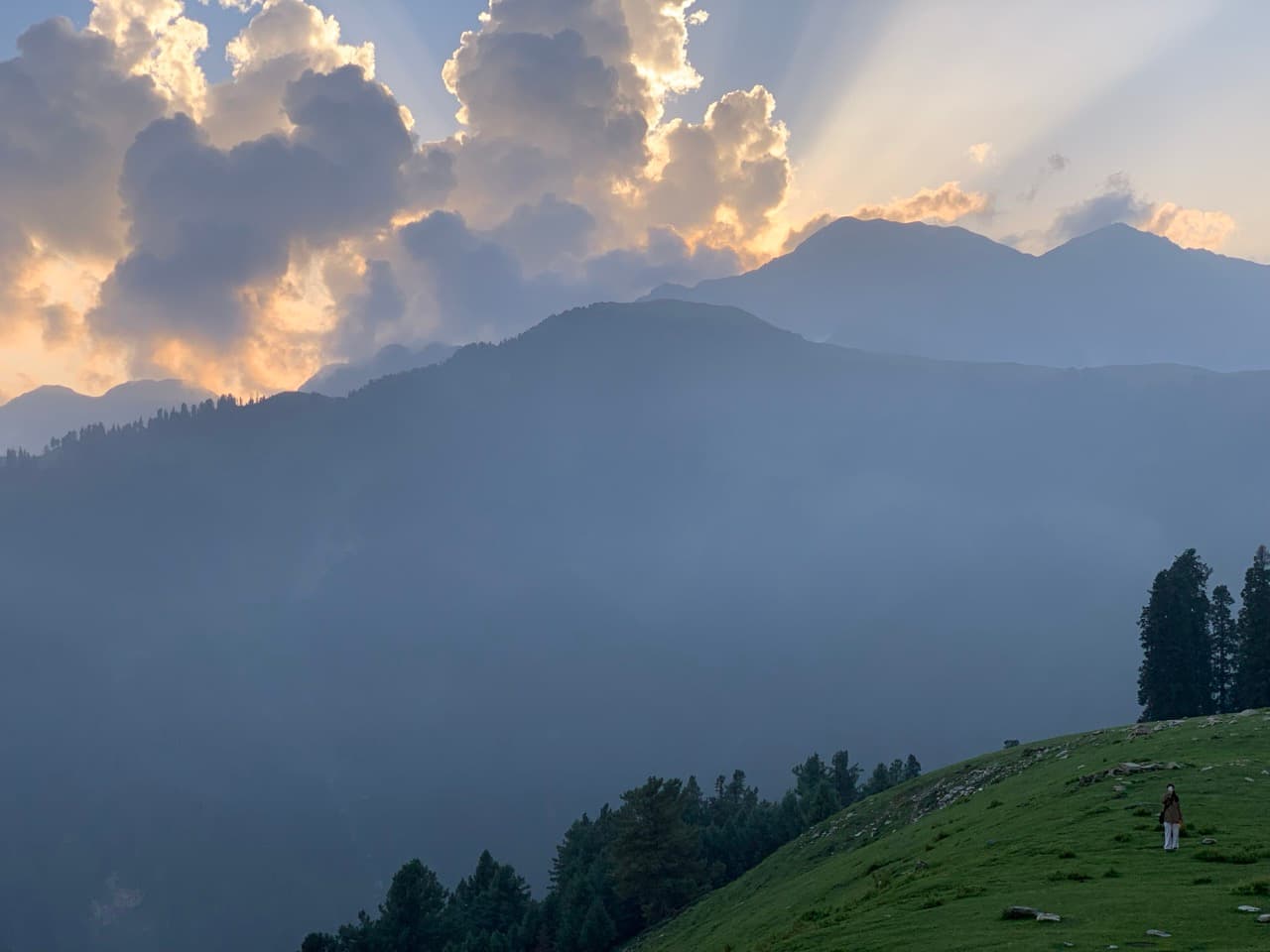 Sharan Forest & Manshi Top — 3 Days