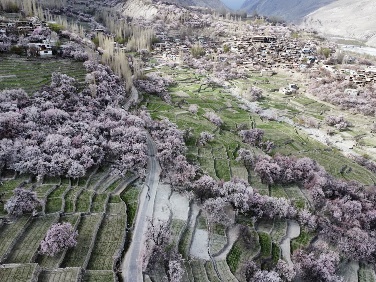 Spring in Skardu & Khaplu