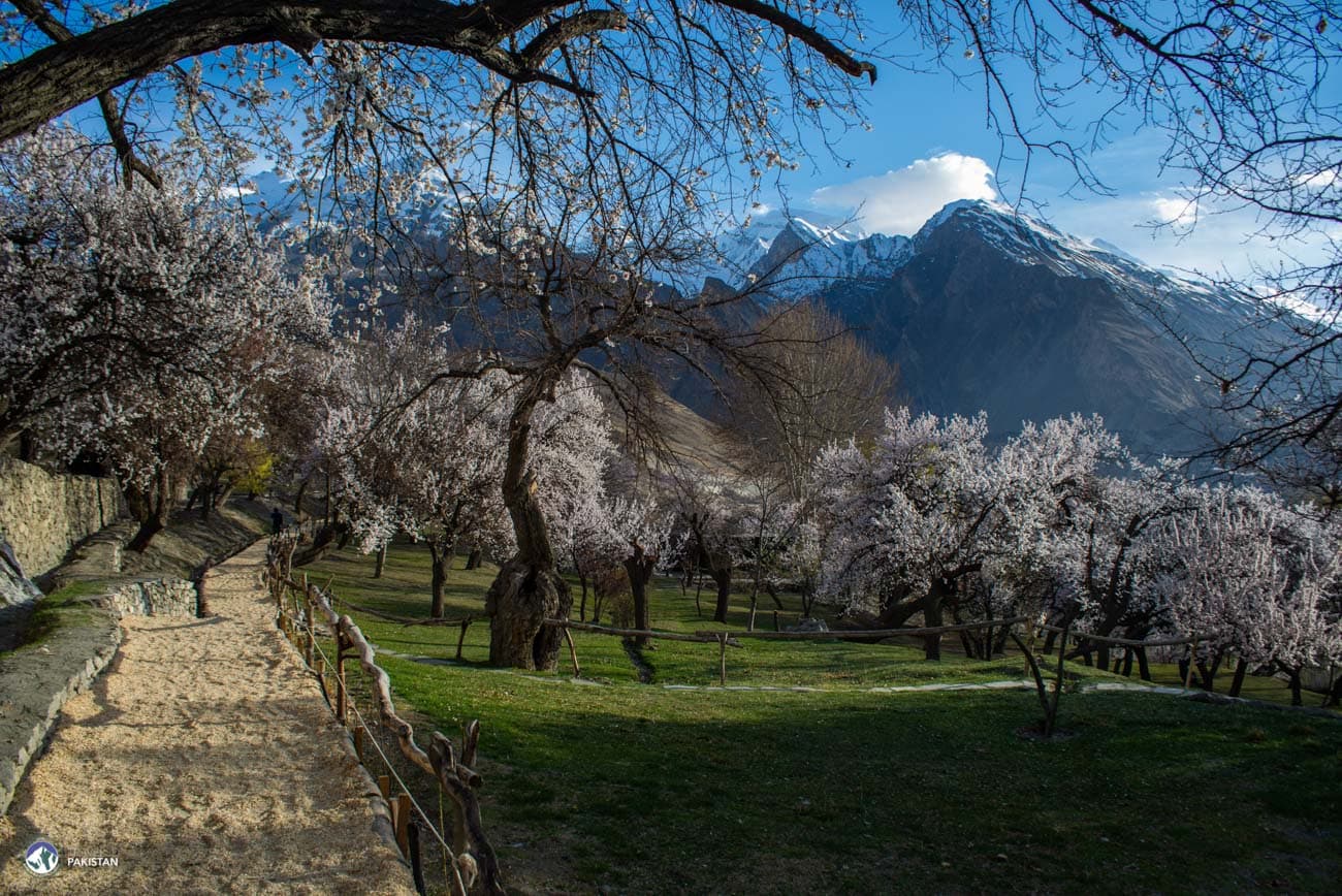 Spring in Hunza & Skardu