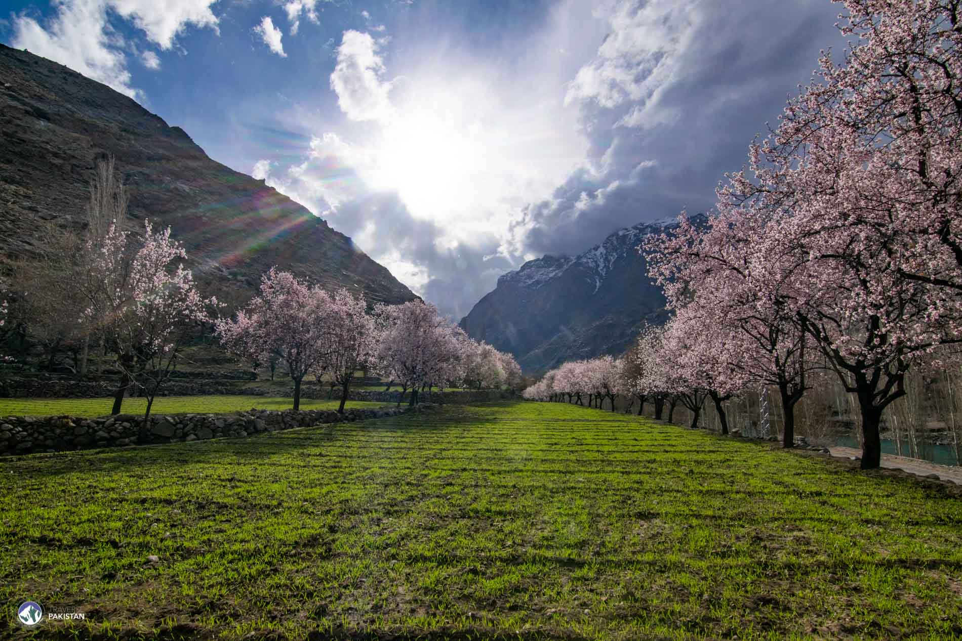 Blossom Trip to Ghizar
