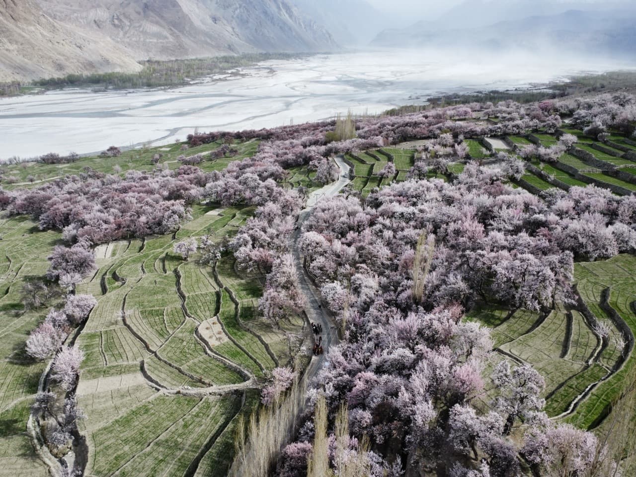 Blossom Trip to Skardu