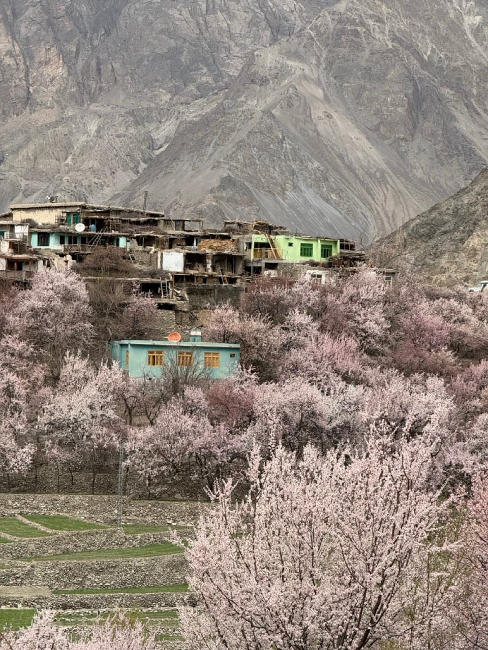 Blossom Trip to Skardu