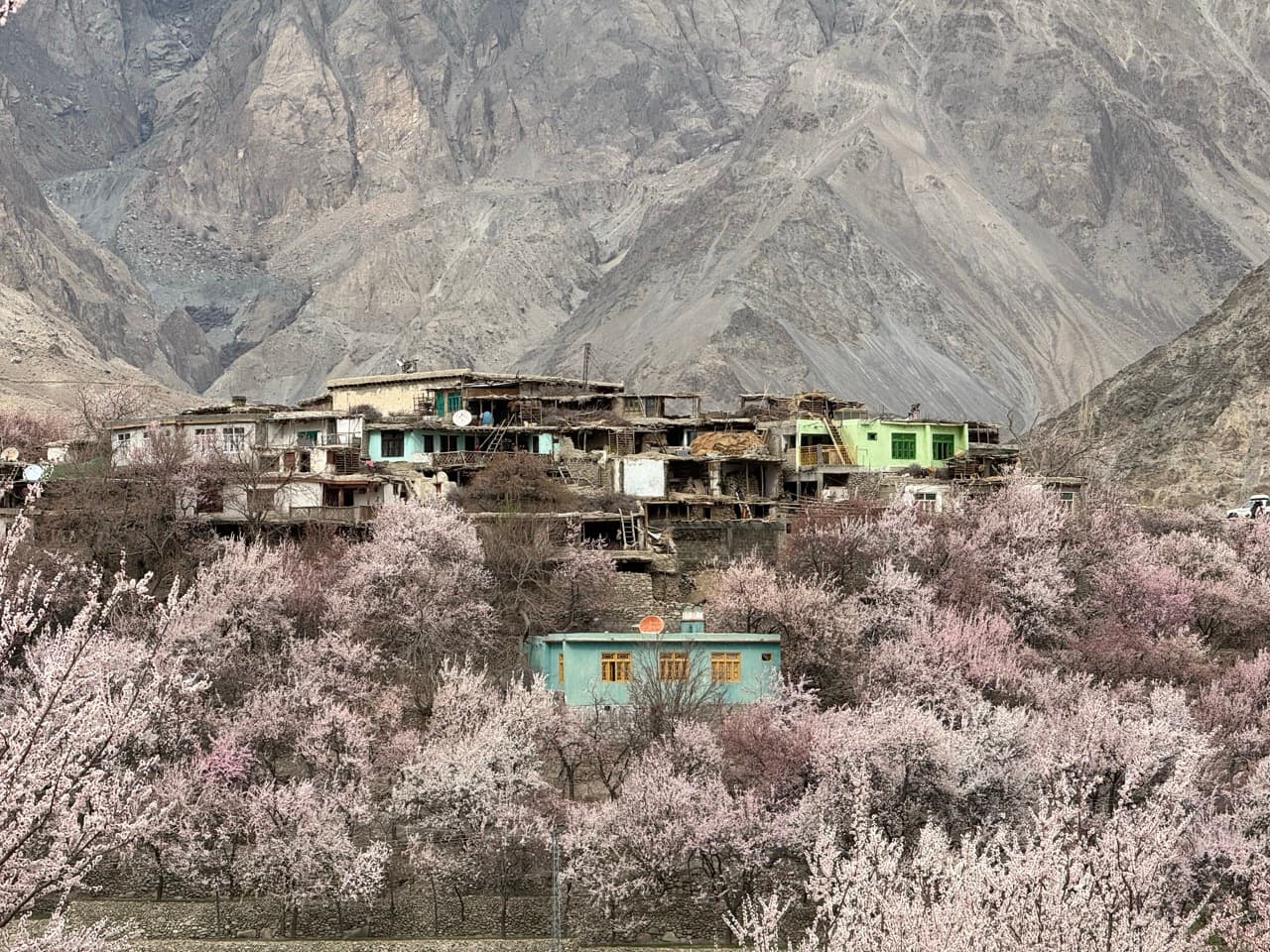 Blossom Trip to Skardu