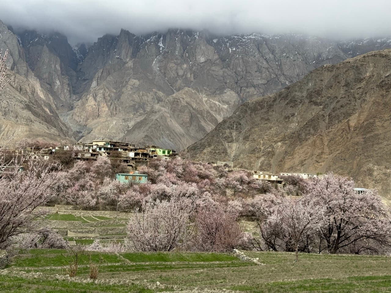Blossom Trip to Skardu