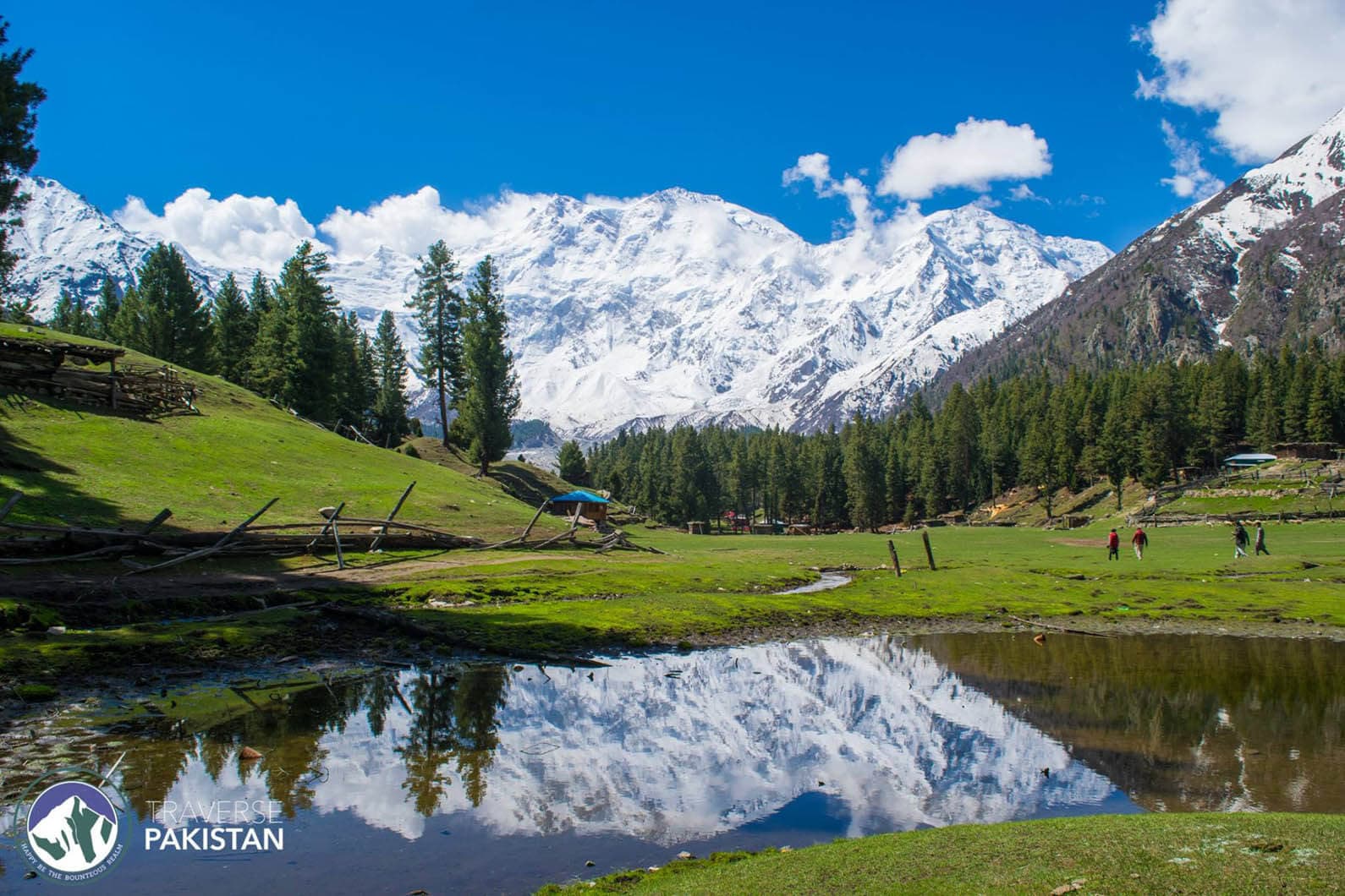 Trip to Fairy Meadows & Nanga Parbat Basecamp