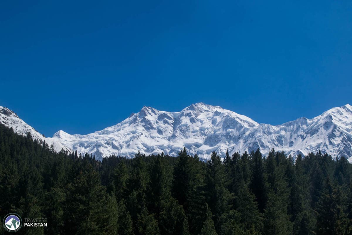 Fairy Meadows
