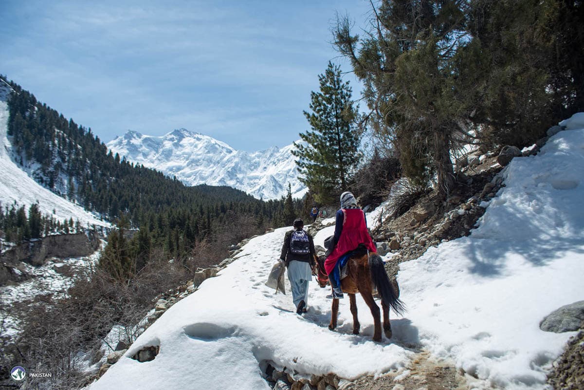 Fairy Meadows