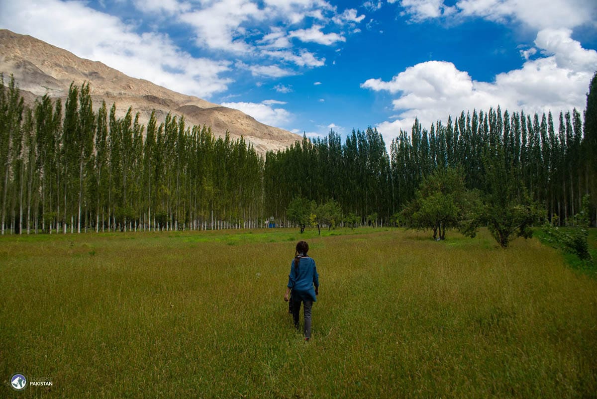 Kashal Agri
