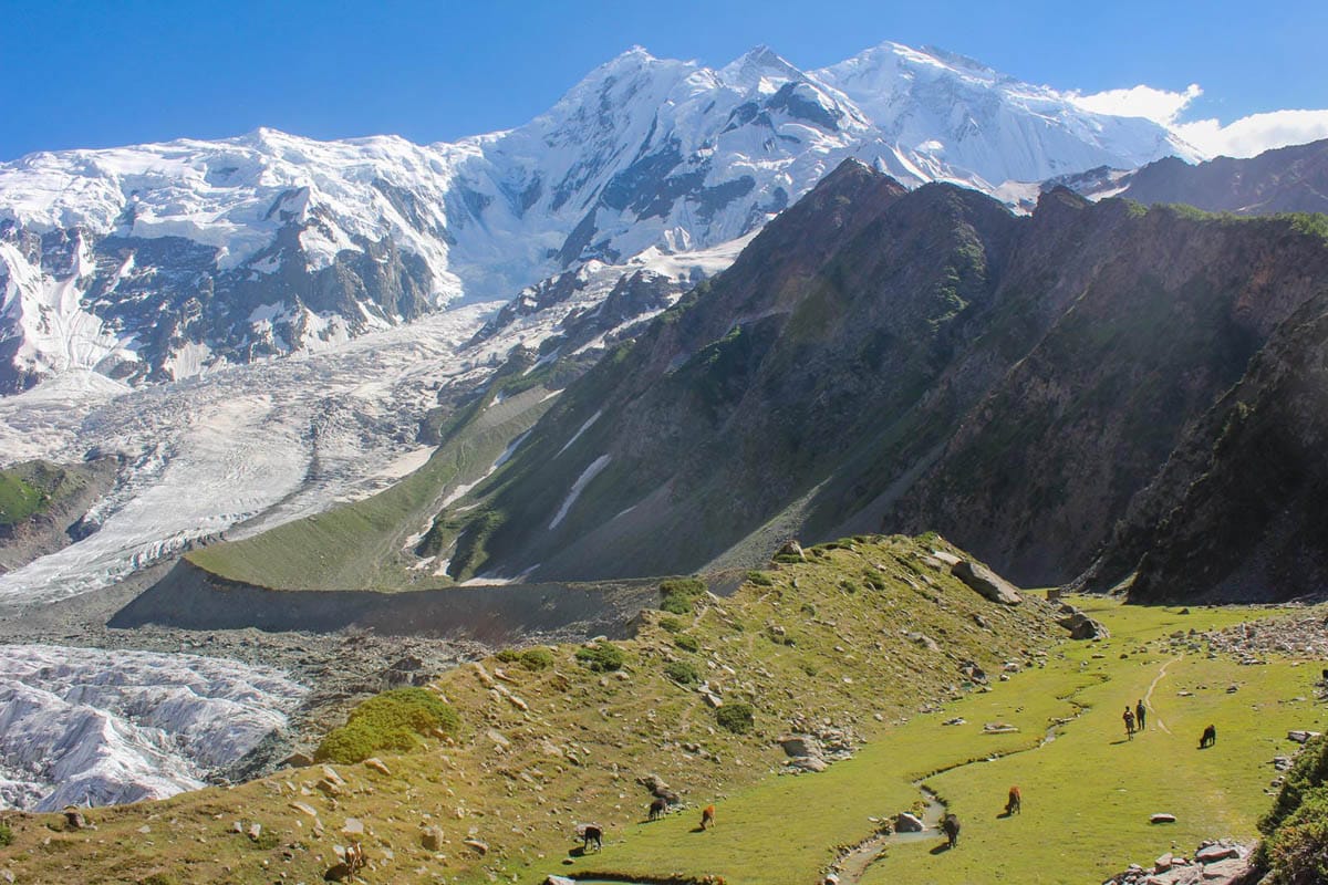 Rakaposhi Base Camp