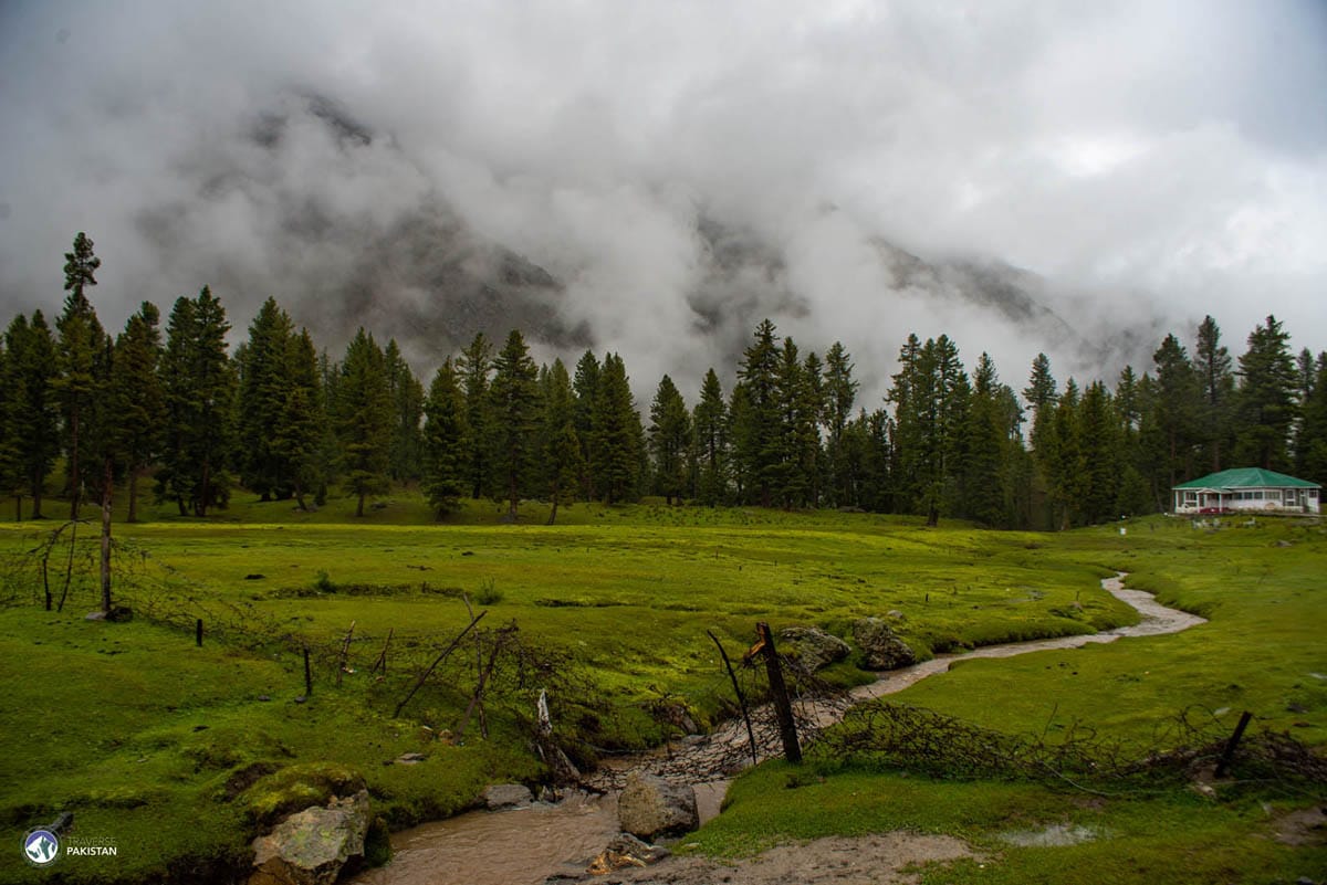 Rama Meadows