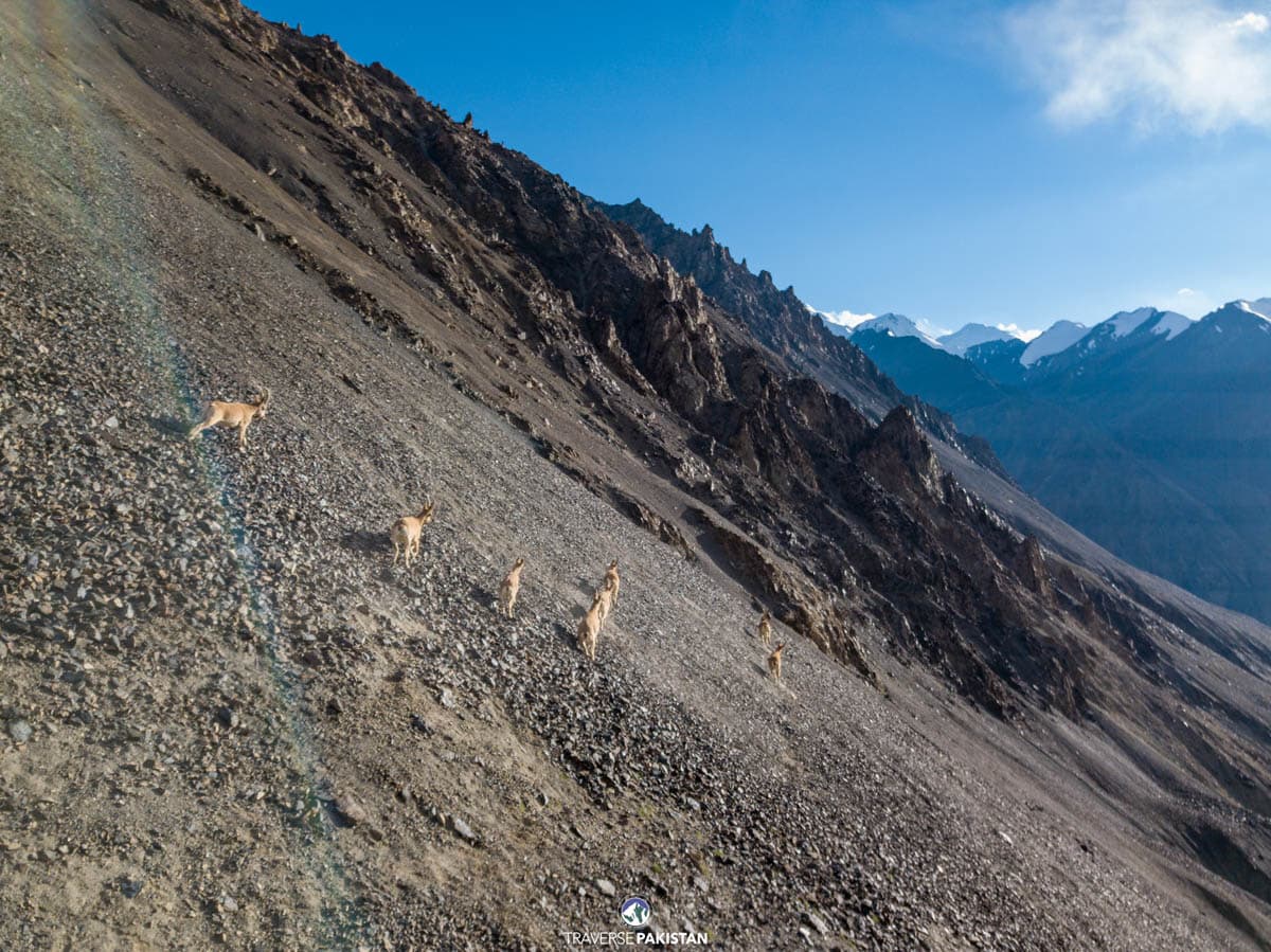 Khunjerab National Park