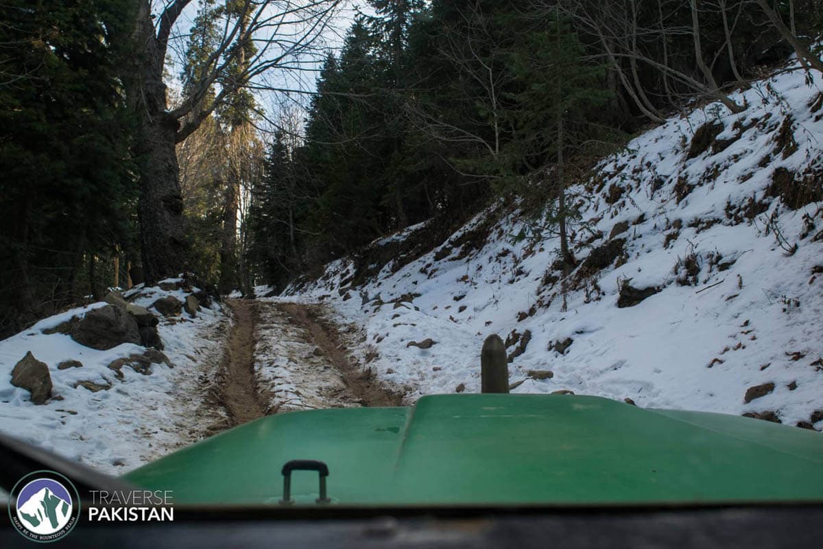 2: Shogran
