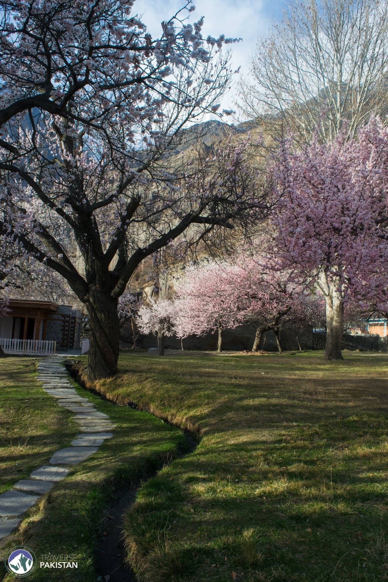 1: Royal Gardens, Altit